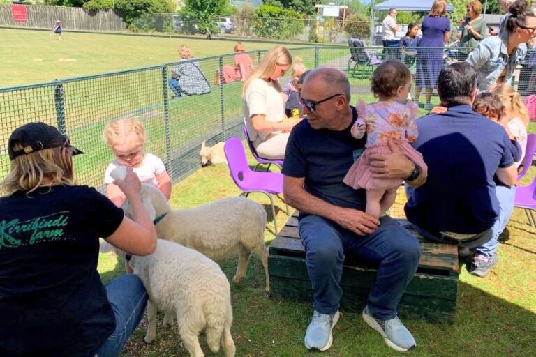 Children meeting sheep from a visiting animal farm on the grass at the Hub, with families sitting nearby